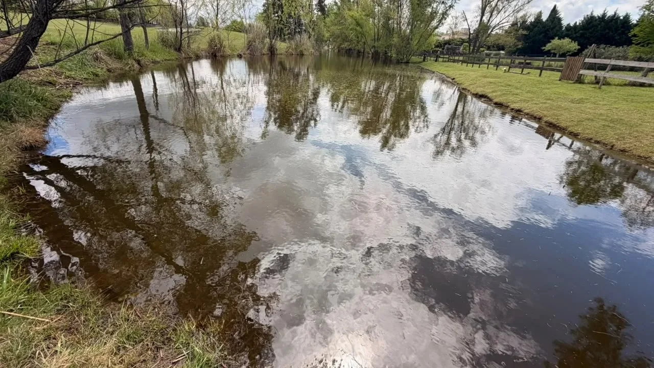 Laguna artificial con el nivel de agua al ras del césped y agua turbia después de una lluvia