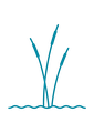 Ecoaqua