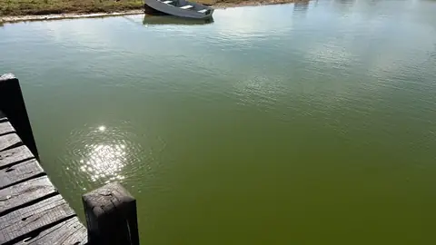 Problemas de calidad de agua y olores
